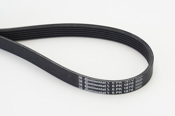 FUN BELT:6PK 1870